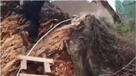 太相信導航…傻妞爬上別人家屋頂　被狗包圍只好報警　圖／翻攝自澎湃新聞