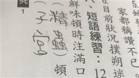 小六生,小六造句,基隆國小,沈老師,精蟲,子宮,性教育(圖/沈老師授權使用)