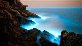 ▲全台獨木舟體驗。（圖／Tripbaa趣吧！亞洲自由行專家）