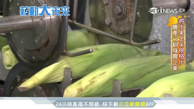39元真空玉米棒　闖出2億玉米王國