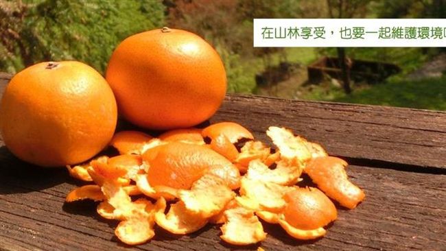 吃完果皮亂丟可化為養分？別再陷迷思