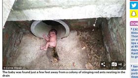 誰這麼狠心？女嬰被棄陰暗水溝　紅火蟻窩旁奇蹟存活　圖／翻攝每日郵報