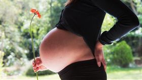 懷孕,孕婦,胎兒（圖／翻攝自Pixabay）