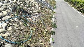 台中吳女摔車，肝臟破裂（圖／翻攝自我愛大甲2臉書）