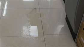 超商,ATM,撒尿,地板,畜生,公德心,客人（圖／翻攝自臉書爆怨公社）https://www.facebook.com/groups/1027360687282981/permalink/2001628979856142/