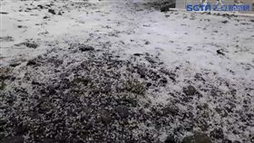 今（12）日下午對流雲系發展旺盛，南投日月潭以及信義鄉天空下起大雨，伴隨著降下珍珠般大小的冰雹，不少民眾看到難得的天氣現象，相當驚奇。（圖／翻攝畫面）