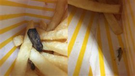 薯條驚見小強換1包仍有蟲 麥當勞這樣回應（圖／翻攝自臉書「爆廢公社」）