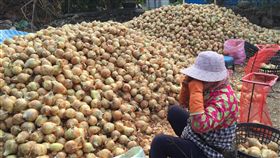 洋蔥　農民
https://www.facebook.com/greenfarmersfamily/photos/a.10150179291402584.301540.129267057583/10155422745092584/?type=3&theater