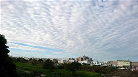 16:9
台東天空出現棉花雲（2）台東11日清晨天空出現美麗的「棉花雲」，幻化多變，民眾拍照PO上網，互相提醒不要輕忽泰利颱風。中央氣象局台東氣象站主任黃瑞中表示，這些棉花雲是高積雲，積雲和颱風無關，反而代表今天會是豔陽高照的好天氣。中央社記者盧太城台東攝  106年9月11日