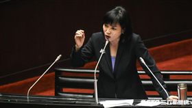 國民黨立委柯志恩質詢。 圖／記者林敬旻攝