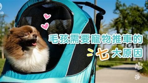 毛孩需要寵物推車的七大原因