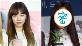 APINK,南珠／合成圖　資料照、국제신문