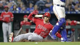 大谷翔平跑回致勝分。（圖／美聯社／達志影像）