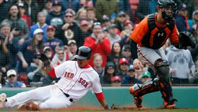 ▲波士頓紅襪台灣野手林子偉（左）面對巴爾的摩金鶯有不錯演出。（圖／美聯社／達志影像）