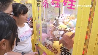 娃娃機店市場飽和退燒？台主自爆虧錢