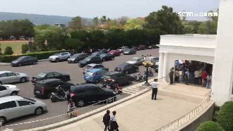 搶抓寶可夢咩利羊　30輛車併排霸路