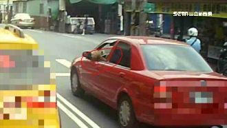 狗狗搭車探頭「兜風」　駕駛遭罰3千