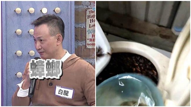 蟑螂丟馬桶影片挨轟　蟑螂王怒告網友