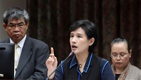 文化部：爭取編列台語頻道預算立法院教育文化委員會12日審議國家語言發展法草案，文化部長鄭麗君（中）表示，文化部將爭取編列明年設置台語頻道專案預算。中央社記者張皓安攝  107年4月12日