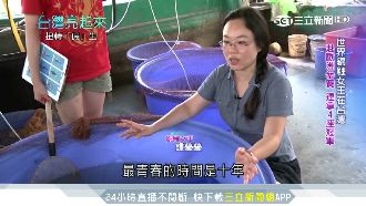 扛父債放棄學業　千金小姐成錦鯉女王