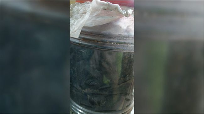 想丟掉家中黑色罐子遭阻　網看完驚呆