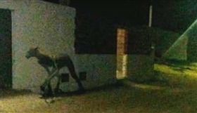 ▲圖／翻攝自YouTube