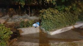 高雄苓雅區生日公園17日凌晨自焚案件（圖／翻攝畫面）