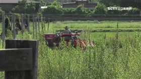 0417業配魏氏兄弟