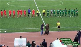 俄足球賽事　驚見「比人高」棕熊開球
俄羅斯,2018俄羅斯世界盃,莫斯科馬戲團,俄乙,馬述克KMV,安格斯特納茲蘭
https://www.instagram.com/fc_angusht_official/