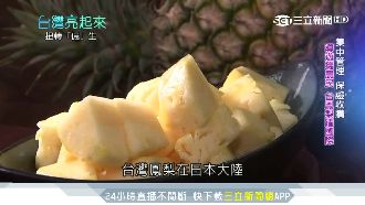 慘賠百萬！「鳳梨王子」靠果乾翻身
