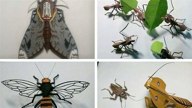 她秀超宅姪子的作品　跪倒一片網友
