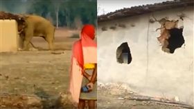 大象,印度,Chhattisgarh,住家,摧毀,家園,住戶,攻擊,衝突,動物　圖／翻攝自YouTube https://goo.gl/qAe7MF