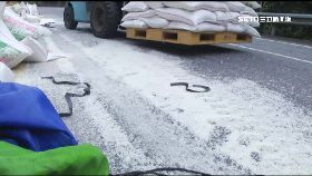 a灑白米挨罰0930