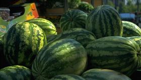 西瓜(圖/翻攝維基百科)