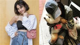 蔡依林（Jolin）。合成圖/翻攝自IG