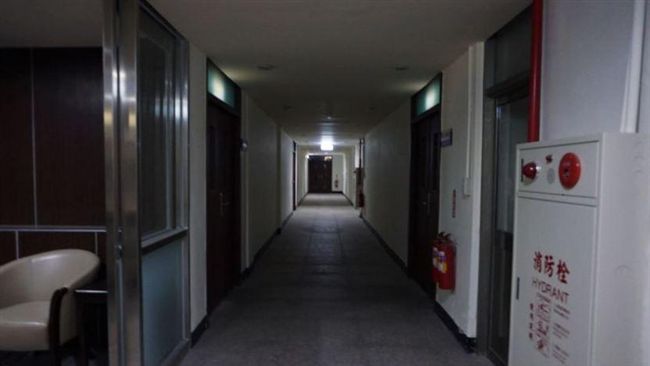 大樹觸碰電線！北投2800戶傳停電