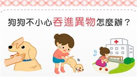 名家／毛起來／狗狗吞下異物