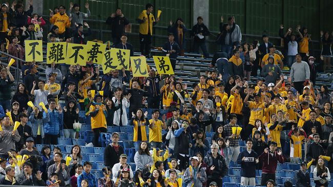 僅2097人！　中信兄弟票房輸富邦