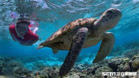 伊利特女士島以其未經破壞的珊瑚礁和種類豐富的繽紛海洋生物聞名。（圖／澳洲昆士蘭州旅遊暨活動推廣局提供）