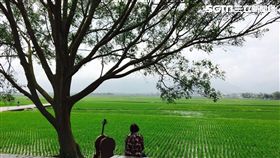 鄉下,城鄉差距,女性,嫁,觀念,重男輕女,PTT,批踢踢　圖／記者廖福生攝影