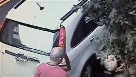 台中市大里區街頭發現有家長帶著女童隨地大小便（圖／翻攝自爆料公社）