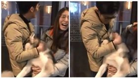 大陸一隻哈士奇向小母狗告白慘遭拒絕（圖／翻攝自梨視頻）