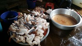 嘉義,違法,屠宰場,雞,雞血,米血糕,市場（圖／翻攝畫面）