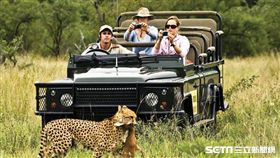 鴻鵠逸遊,頂級環遊世界,克魯格國家公園。（圖／易遊網提供）