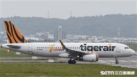 臺灣虎航。 圖／記者林敬旻攝