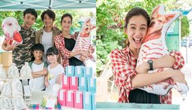 種菜女神,陳庭妮,劉子千