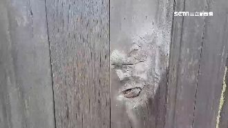 梅山古宅大門浮人臉　竟神似造房祖先