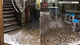 宜蘭棲蘭神木園區　冰雹