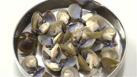 蜆精,蜆蛋白,抗發炎,膠囊,兆鴻生技