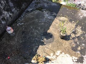 新北市,新店,安康路三段,澆花,失足,墜樓,翻攝畫面